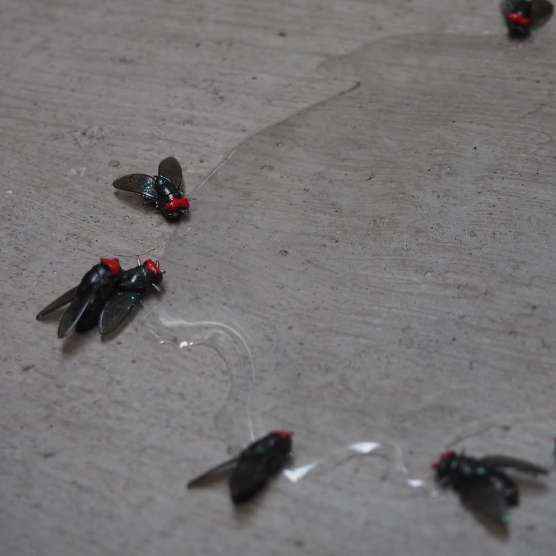 Fly Vessel — detail of the flies arranged on concrete floor